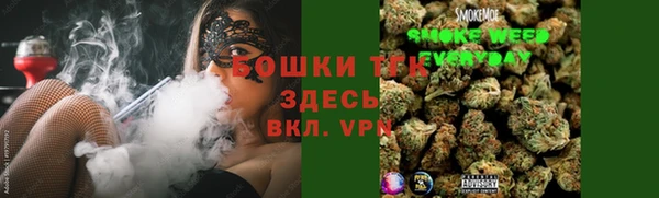 шишки Осташков