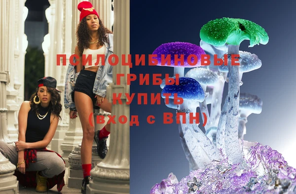 шишки Осташков