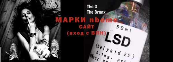 шишки Осташков
