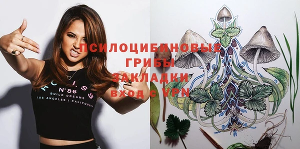 спиды Россошь