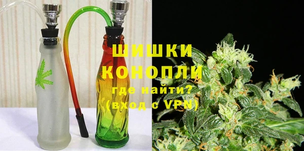 мдпв Рославль