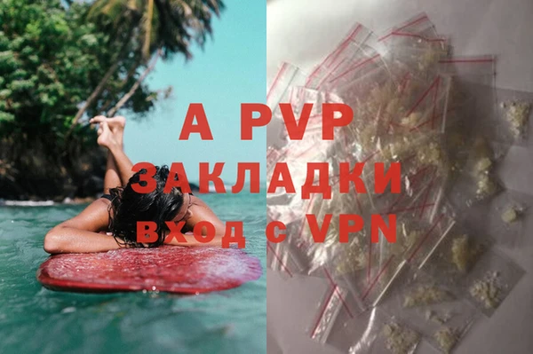 мдпв Рославль
