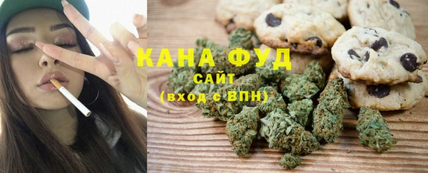 мдпв Рославль