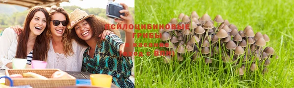 мдпв Рославль