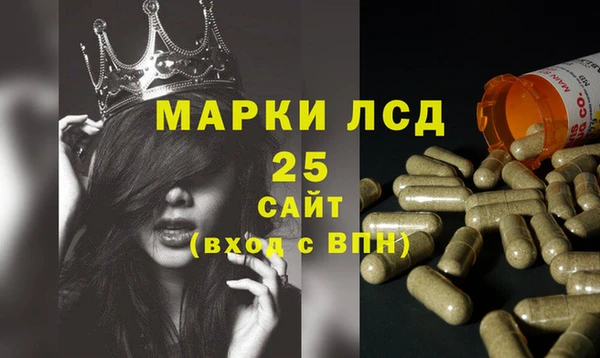 шишки Осташков