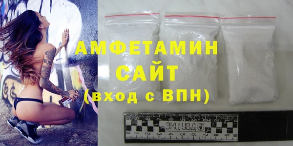 мдпв Рославль