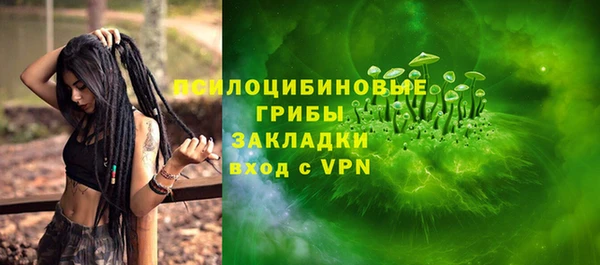 мдпв Рославль