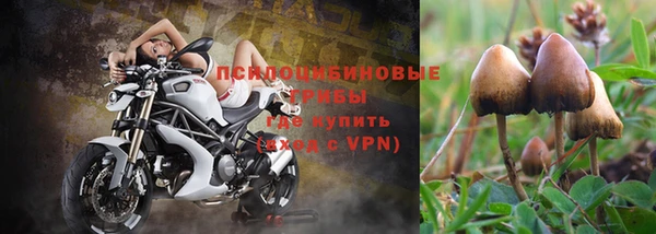 шишки Осташков
