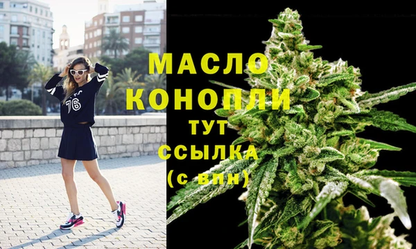 мдпв Рославль