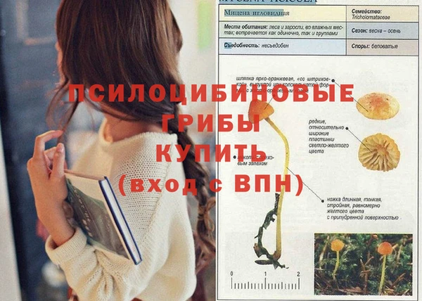 не бодяженный Остров