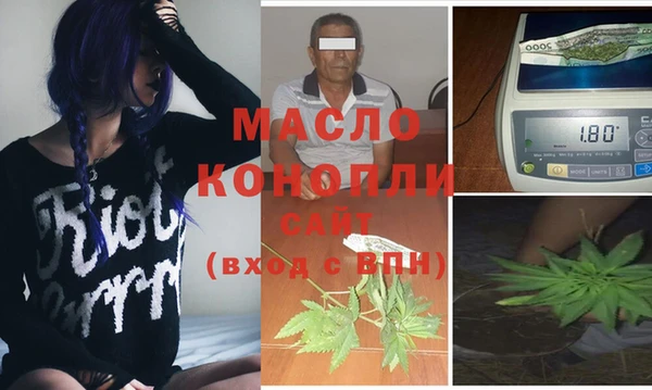 шишки Осташков