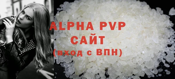шишки Осташков