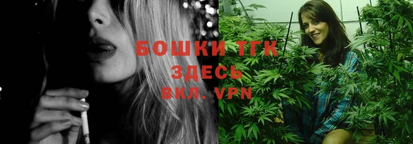 мдпв Рославль