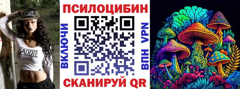 Галлюциногенные грибы Psilocybine cubensis  где продают   Адыгейск 